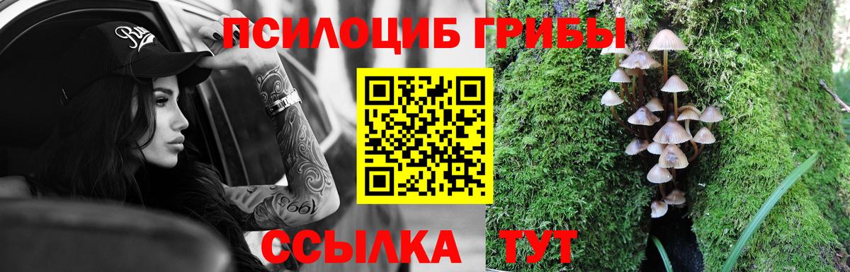 Костомукша  Галлюциногенные грибы Magic Shrooms  Галлюциногенные грибы Magic Shrooms  Вход с VPN 